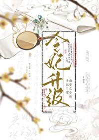 穿越清宫之令妃