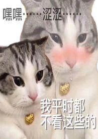 炉甘石的用法与用量