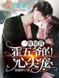 一夜情深霍少放肆宠