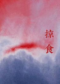 掠夺文