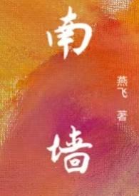 南墙np 兔兔