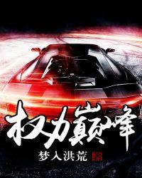 权力巅峰txt