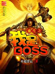 重生之我是boss无弹窗