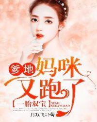 一胎双宝爹地妈咪又要跑