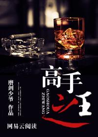 高手之王TXT全集目录