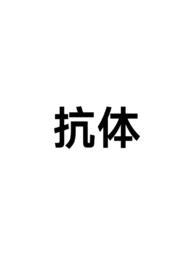抗体vdj