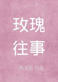 玫瑰往事这首歌表达什么意义