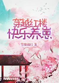 红楼穿越文