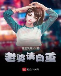 老婆请爱我免费阅读