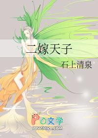 二嫁皇上
