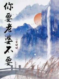 你要老婆不要是什么电视剧