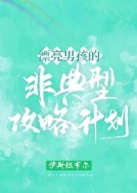 漂亮男孩的非典型攻略计划np