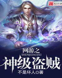 网游之神级盗贼风灵御道