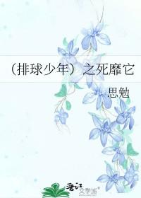 排球少年之死靡它TXT
