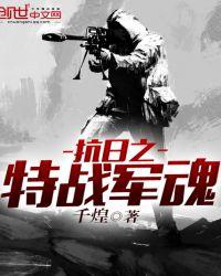 抗战之特战兵魂txt