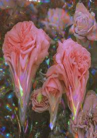 强制执行是什么意思