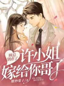 许小姐嫁给你哥了TXT