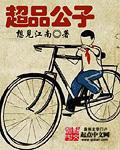 超品公子精校txt