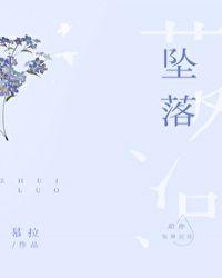 坠落下册