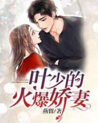 叶少爆宠重生妻txt