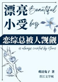 小受很漂亮的快穿推荐