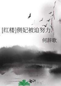 侧妃娘娘傻乎乎