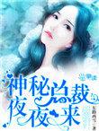 神秘总裁夜夜来 第3章