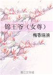 锦王爷(女尊) 梅香涟漪yxt