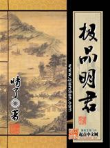 极品国君