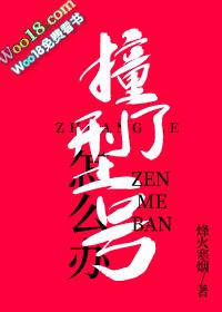 撞了型号怎么办txt电子书