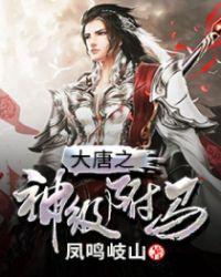 大唐神级驸马飞卢