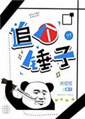 追个锤子好看吗