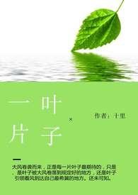 一片叶子录像