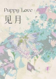 见肿消中草药长什么样