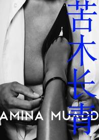 苦木是什么中药