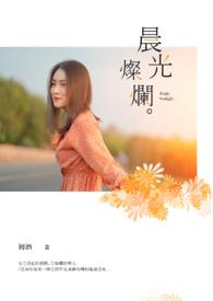 晨光灿烂高干文