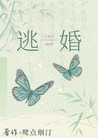 逃婚之后在线看