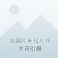 全民领主我的英雄有亿点猛
