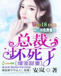 总裁宠妻总裁坏透了