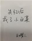 失忆后成了小白菜 日曜三