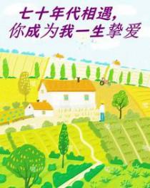 七十年代携手一生免费阅