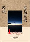 你是夏夜晚风行楷