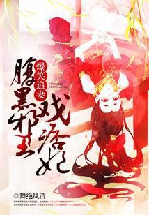 爆笑王妃邪魅王爷