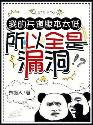 所以全是漏洞全文免费