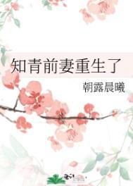重生知青宠媳