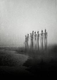 必看变异人电影