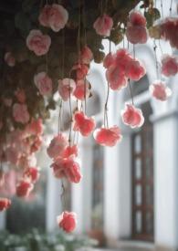 电影无限讲的什么