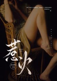 惹火讲什么