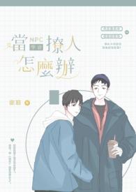 npc干啥的