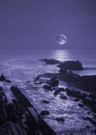 暗夜作者